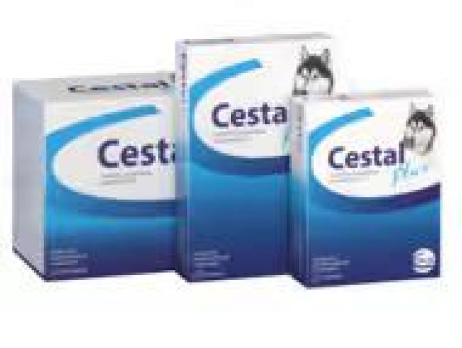 CESTAL PLUS RÁGÓTABL. A.U.V.  2 tabletta