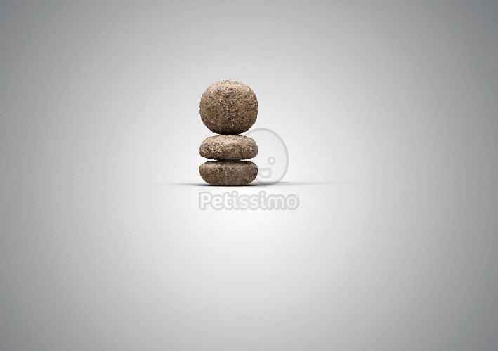 Josera Mini Senior 5 x  900 g