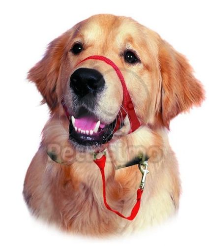 HALTI húzás elleni szájszíj piros  3 