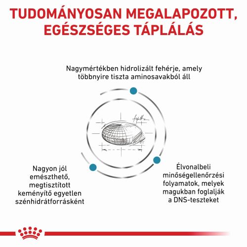 Royal Canin Anallergenic macskáknak  2 kg