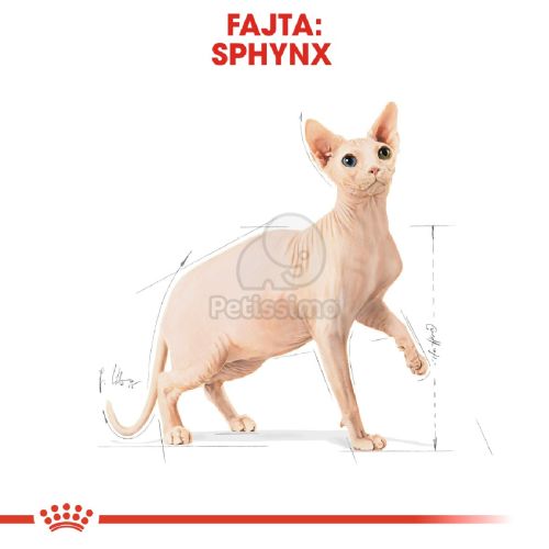 Royal Canin Sphynx Adult - Szfinx felnőtt macska száraz táp  2 kg