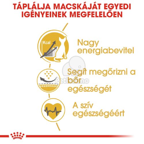 Royal Canin Sphynx Adult - Szfinx felnőtt macska száraz táp  2 kg