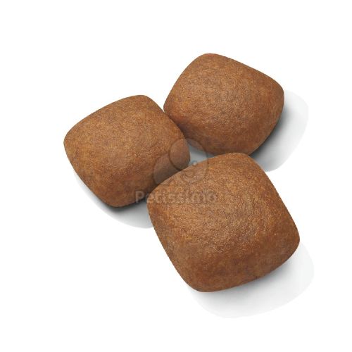 Royal Canin Giant Junior - óriás testű kölyök kutya száraz táp  3.5 kg