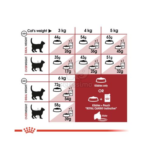Royal Canin Fit - aktív felnőtt macska száraz táp  10 kg
