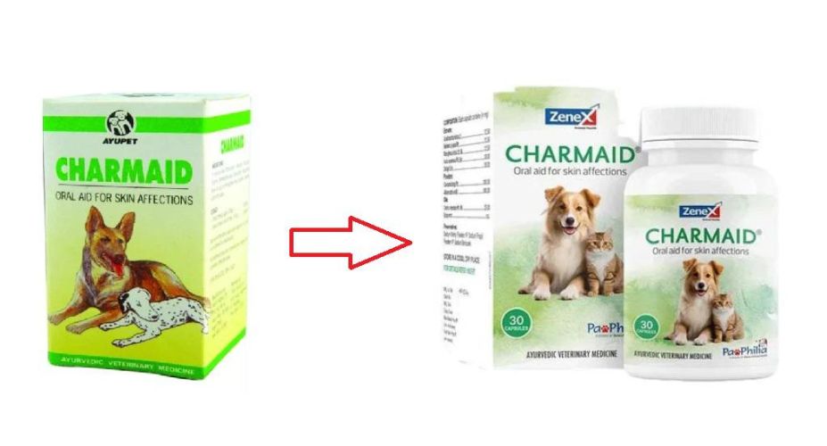 Charmaid kapszula  30 db