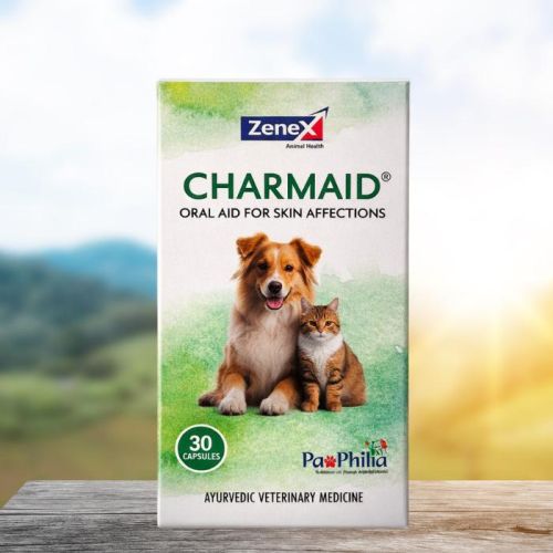 Charmaid kapszula  30 db