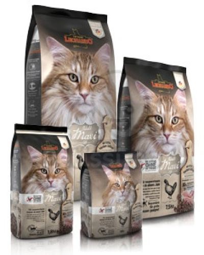 Leonardo Adult Maxi GF  0.3 kg