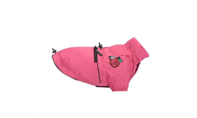 Camon Oviedo kutyaruha  27 