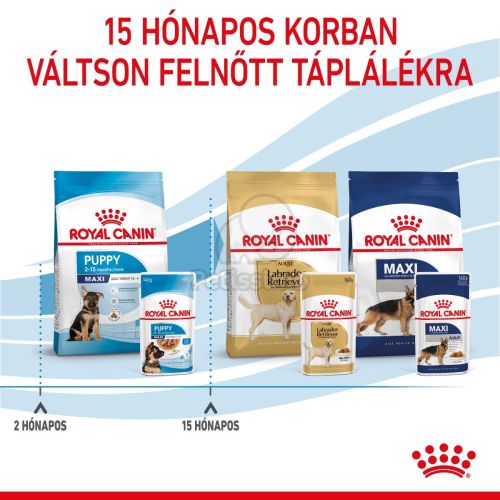 Royal Canin Maxi Puppy alutasakos 10 x  140 g