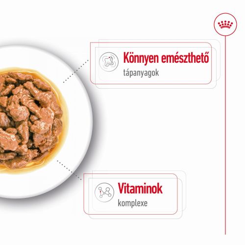 Royal Canin Mini Adult alutasakos 12 x  85 kg