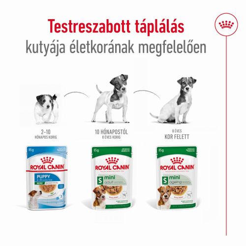 Royal Canin Mini Adult alutasakos 12 x  85 kg