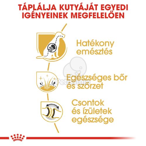 Royal Canin German Shepherd Adult - Német Juhász felnőtt kutya száraz táp  11 kg
