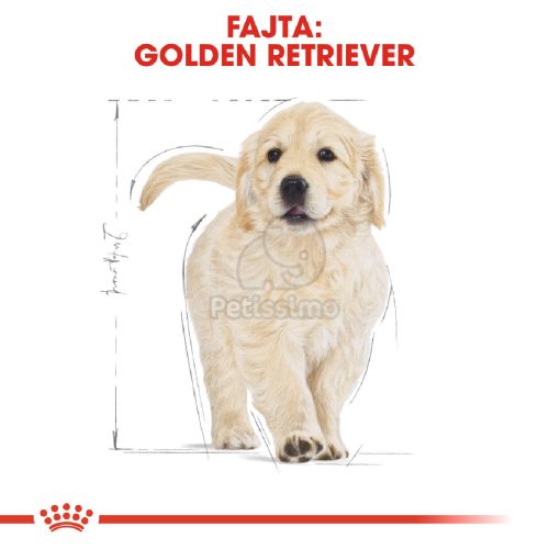 Royal Canin Golden Retriever Puppy - Golden Retriever kölyök kutya száraz táp  3 kg