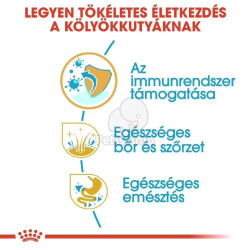 Royal Canin Golden Retriever Puppy - Golden Retriever kölyök kutya száraz táp  3 kg