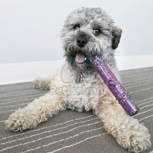 KONG Squeezz Confetti Stick  M 