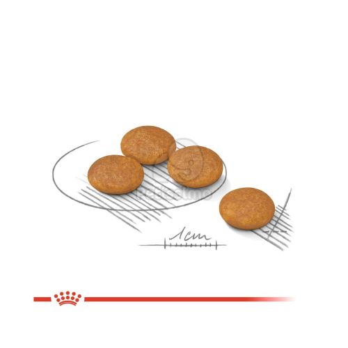 Royal Canin Mini Dermacomfort - száraz táp bőrirritációra hajlamos, kistestű felnőtt kutyák részére  3 kg