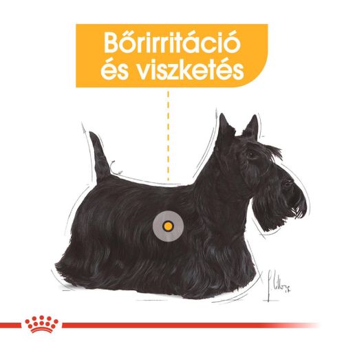 Royal Canin Dermacomfort - alutasakos eledel bőrirritációra hajlamos kutyák részére  85 g