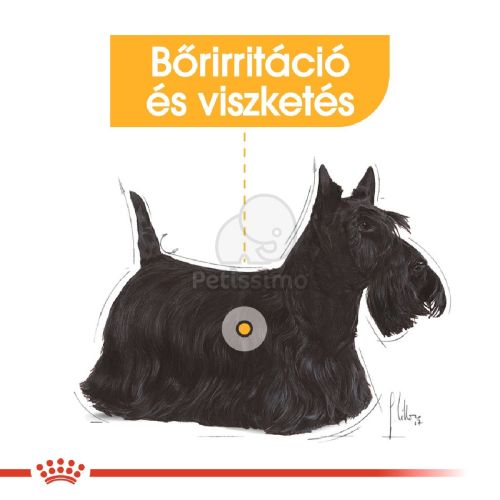 Royal Canin Dermacomfort - alutasakos eledel bőrirritációra hajlamos kutyák részére  85 g