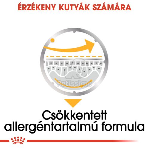 Royal Canin Dermacomfort - alutasakos eledel bőrirritációra hajlamos kutyák részére  85 g