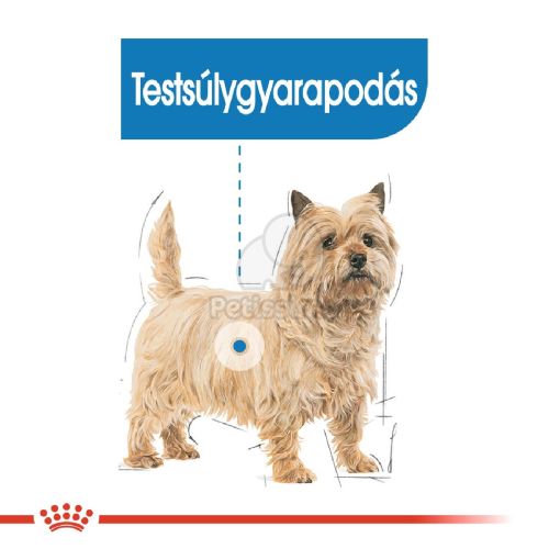Royal Canin Light Weight Care - alutasakos eledel hízásra hajlamos kutyák részére  85 g