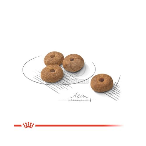 Royal Canin Mini Sterilised - száraz táp ivartalanított, kistestű felnőtt kutyák részére  1 kg