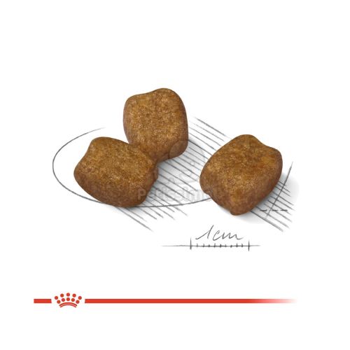 Royal Canin Mini Dental Care - száraz táp fogproblémákra hajlamos, kistestű felnőtt kutyák részére  8 kg