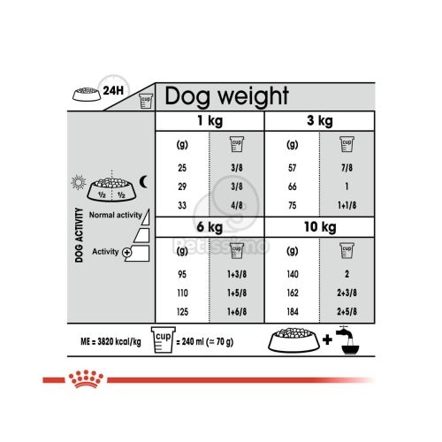 Royal Canin Mini Dental Care - száraz táp fogproblémákra hajlamos, kistestű felnőtt kutyák részére  8 kg