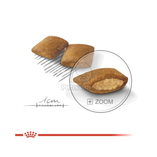 Royal Canin Mini Exigent - száraz táp válogatós, kistestű felnőtt kutyák részére  1 kg