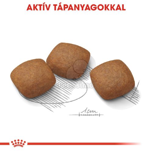 Royal Canin Maxi Joint Care - száraz táp az ízületek egészségéért, nagytestű felnőtt kutyák részére  10 kg