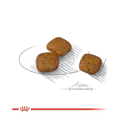 Royal Canin Mini Urinary Care - száraz táp érzékeny húgyrendszerű, kistestű felnőtt kutyák részére  1 kg