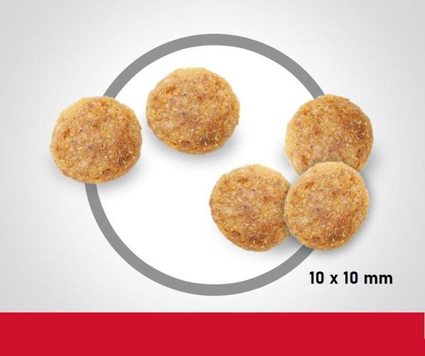 Hill's Science Plan Adult száraz macskatáp  3 kg