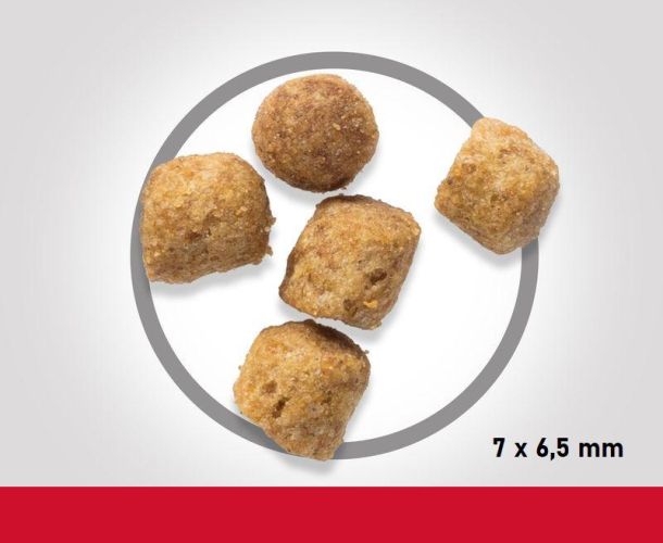 Hill's Science Plan Adult száraz macskatáp, bárány  3 kg