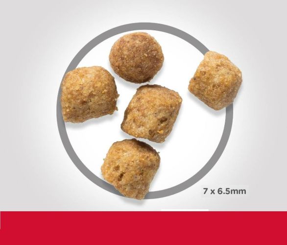 Hill's Science Plan Adult Light száraz macskatáp  3 kg