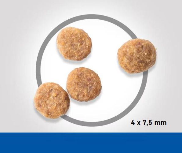Hill's Science Plan Adult Sensitive Stomach & Skin száraz macskatáp  300 g