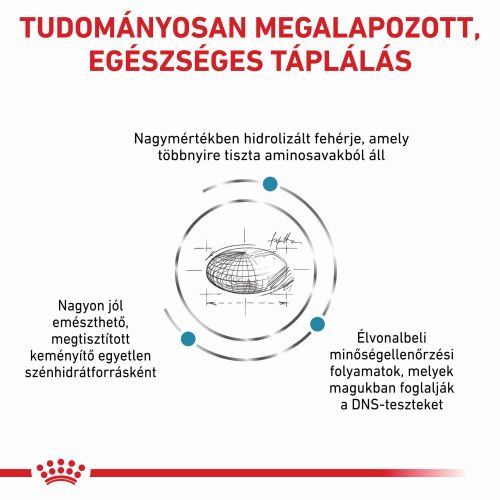Royal Canin Anallergenic 18  8 kg