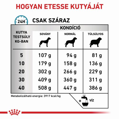 Royal Canin Anallergenic 18  8 kg
