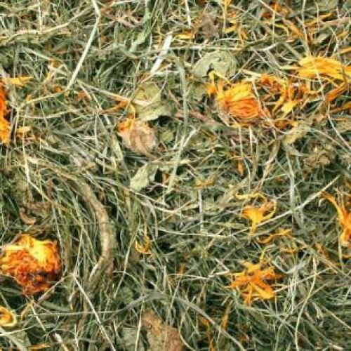 JR Farm Széna Gyermekláncfűvel  500 g