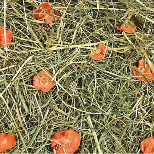 JR Farm Széna Sárgarépával  500 g