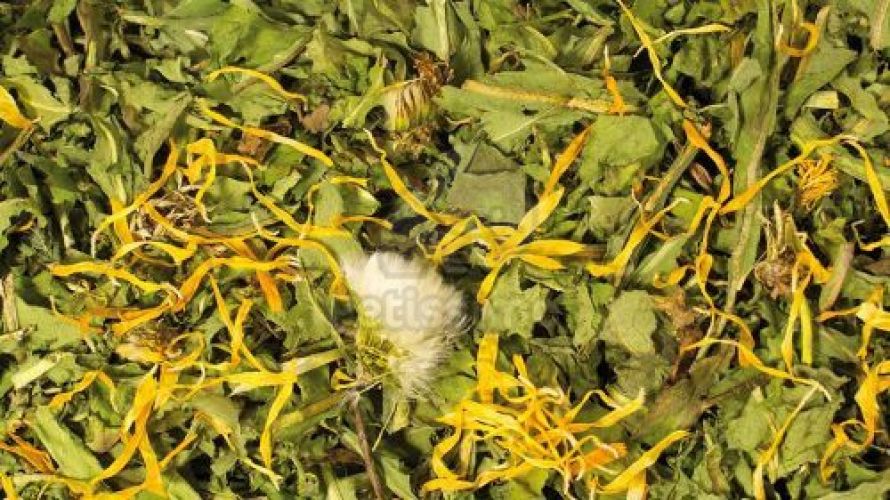 JR Farm Gyermekláncfű  500 g