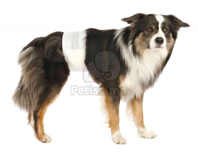 Trixie kutyapelenka kan kutyáknak  L/XL 