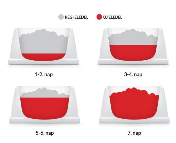 Hill's Science Plan Adult kutyatáp, marha - konzerv  370 g