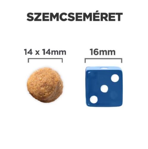 Hill's Science Plan Adult Large Breed száraz kutyatáp, bárány és rizs  14 kg