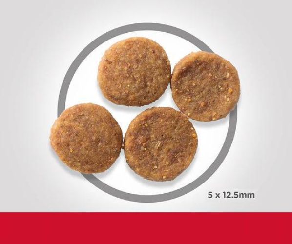 Hill's Science Plan Sensitive Stomach & Skin száraz kutyatáp  2.5 kg