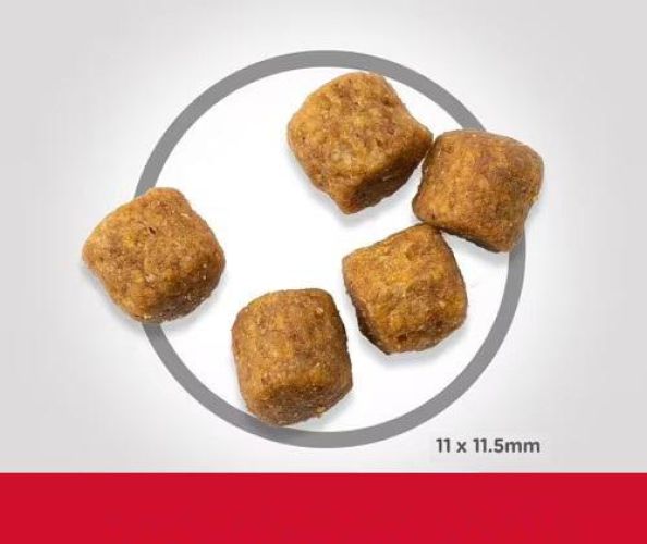 Hill's Science Plan Mature Adult 7+ Medium száraz kutyatáp, bárány és rizs  2.5 kg