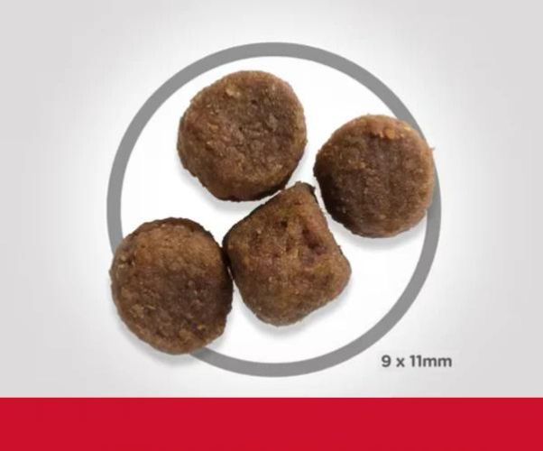 Hill's Science Plan Puppy Medium száraz kutyatáp, bárány és rizs  2.5 kg