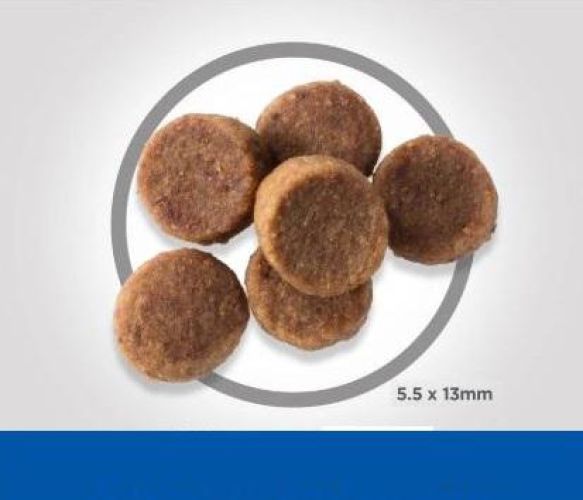 Hill's Science Plan Puppy Large Breed száraz kutyatáp  16 kg