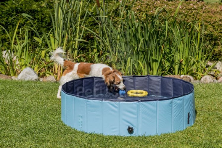 Trixie kutya medence  160x30 cm