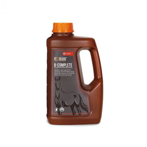 FORAN B COMPLETE  1 l