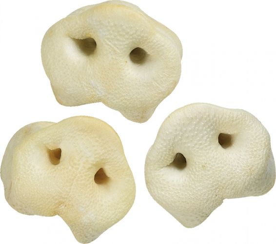 Flamingo Snacks malac orr  80 db