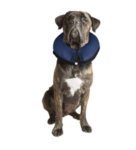 Flamingo gallér  60-80 cm